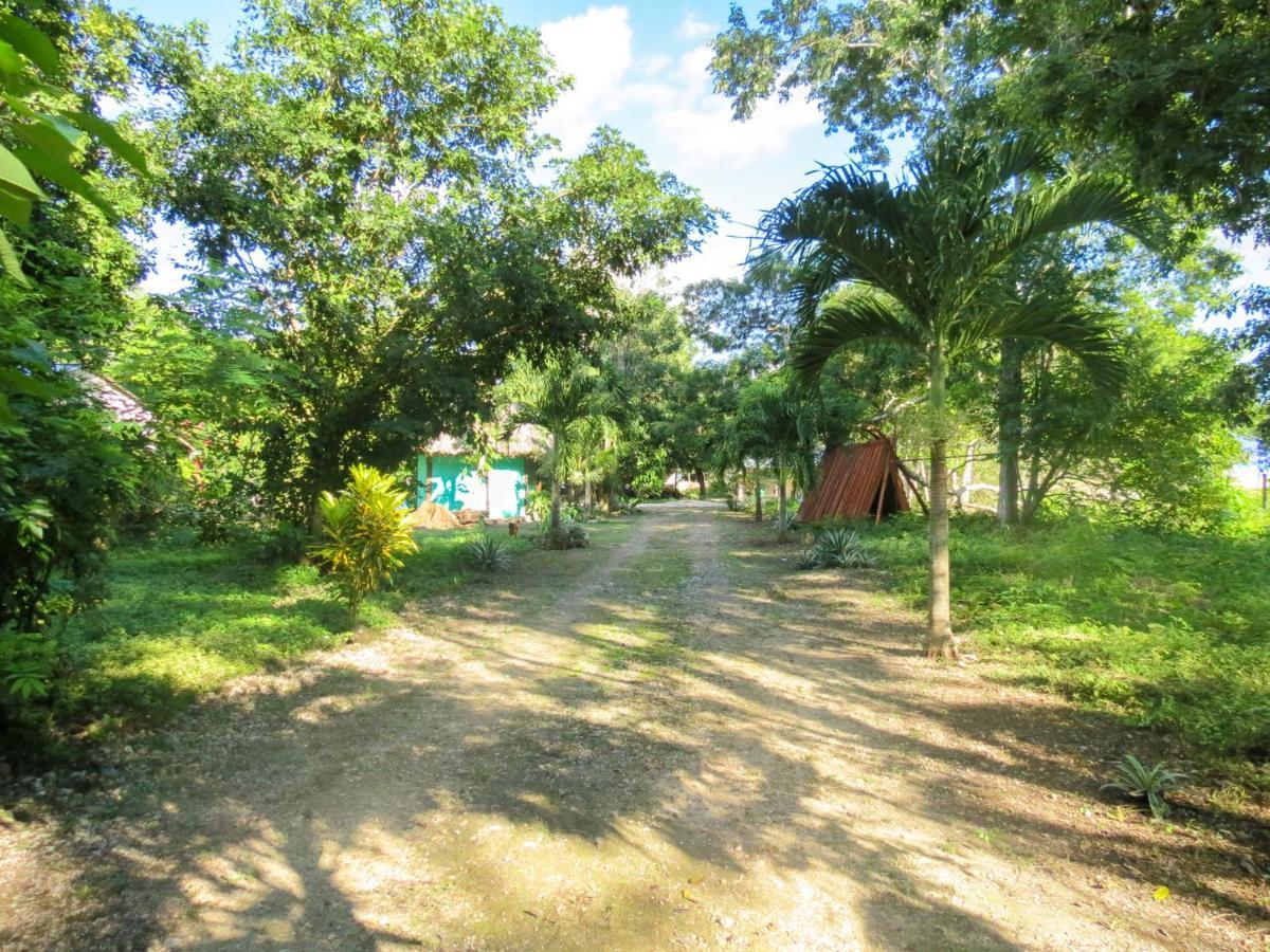 Cabañas Calakmul Conhuas Exterior foto