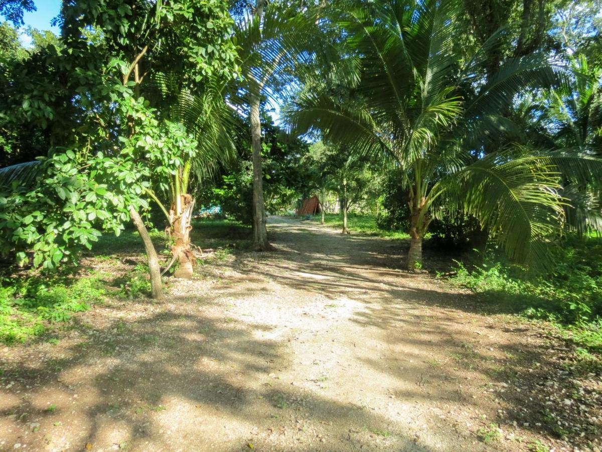 Cabañas Calakmul Conhuas Exterior foto